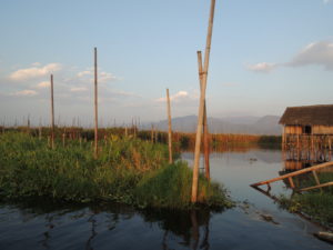 We visited among others the Inle Lake district where the issue of agriculture and leaching of nutrients to the shallow lake is in focus.