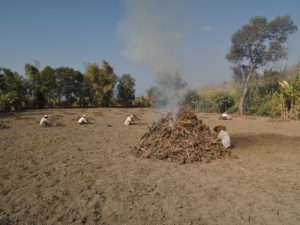 The slash and burn technique applied near the water line and in the hillsides around the lake also contributed to an extraordinary flow of surplus mineralized nutrients leaching to the lake.