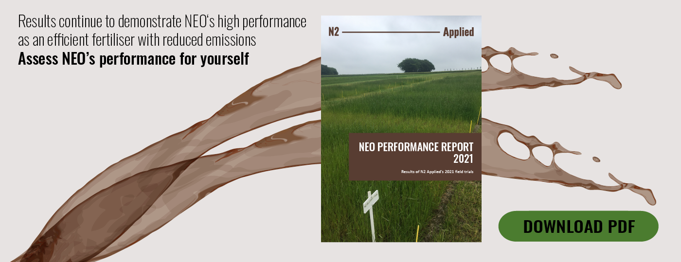 NEO Performance Report 2021 Banner